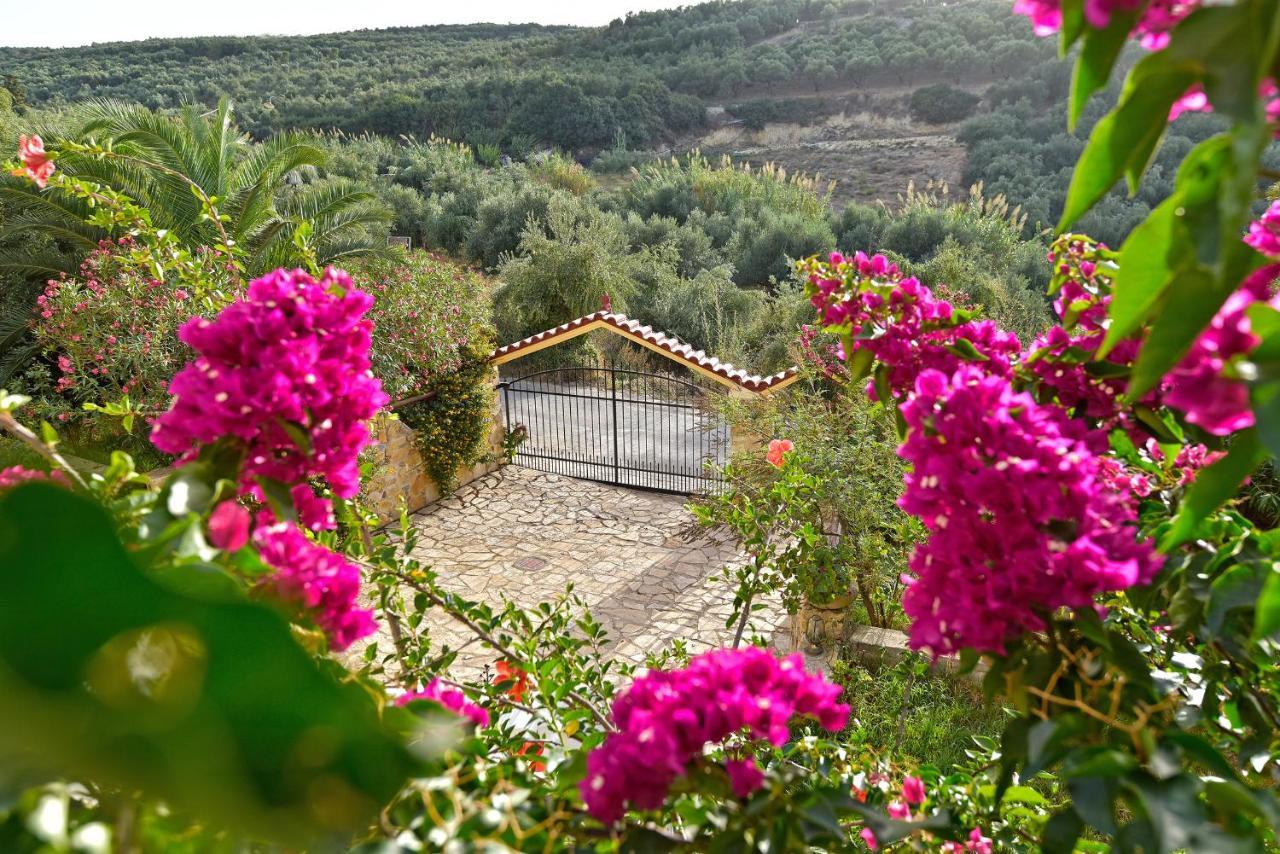 Olive Farm Villa Agia Marina  Exterior photo